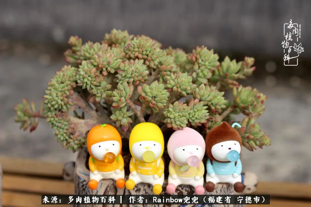 岁月无波澜余生不悲欢是啥意思,愿你岁月无波澜敬我余生无悲欢