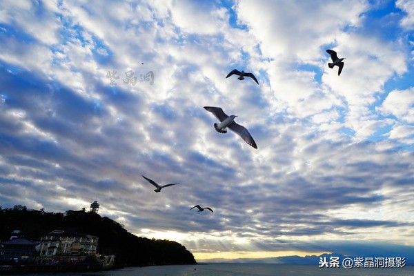 700年历史的日本小寺,为了看秋叶要买两次票,一次比一次贵