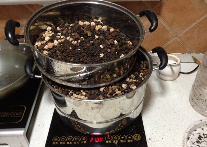 兰花上盆步骤详细演示讲解,兰花刚上盆几天可以浇水