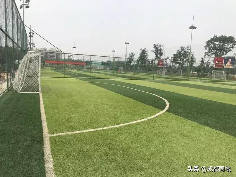 成都运动设施最全的地方,成都免费运动场