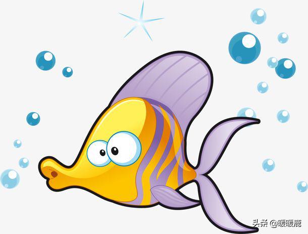 孕期日记1-10个月我与宝宝共成长,孕期日记2020