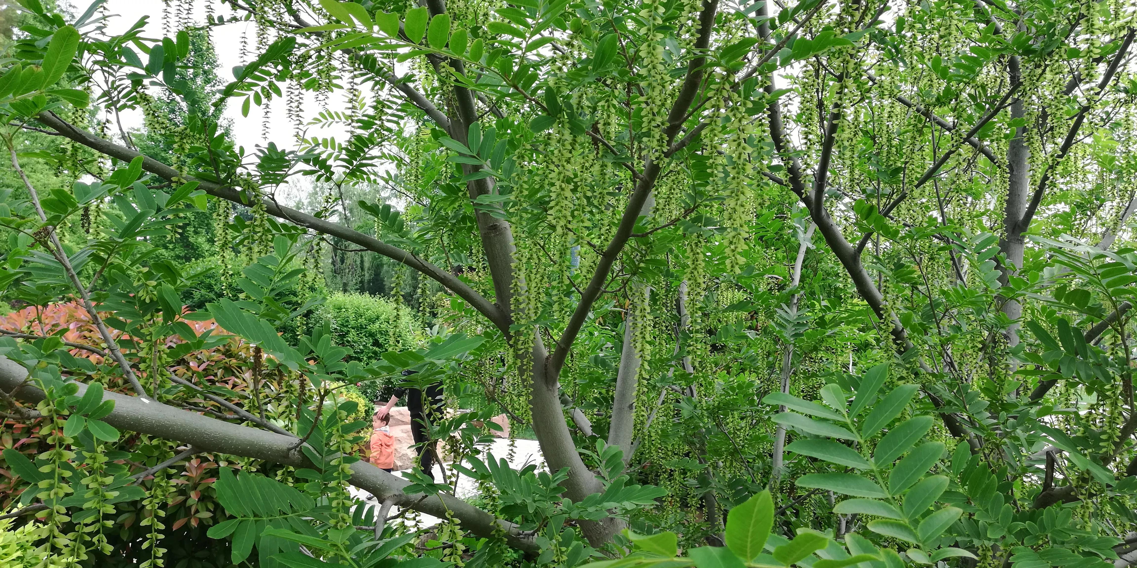 美女稽查官,夜闯“迷你”酒吧,与老板私下做生意