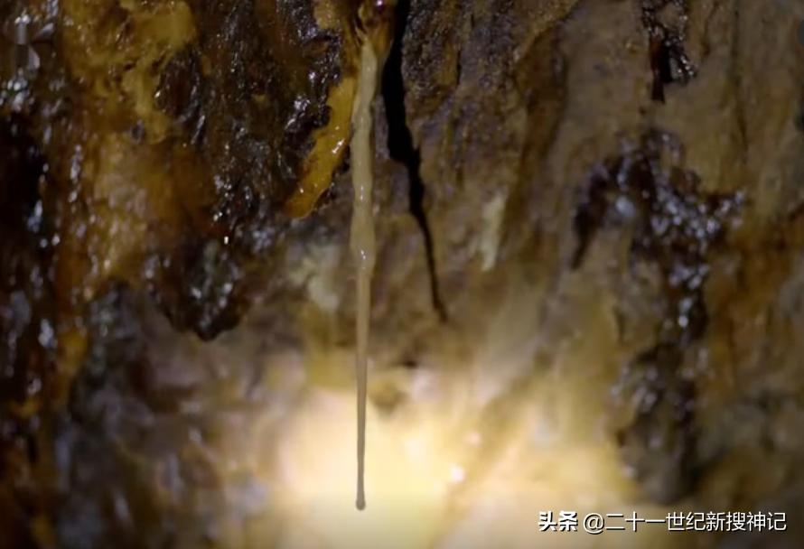 天下极境08:洞穴幽深,孰料别有洞天。万物生长靠太阳?未必