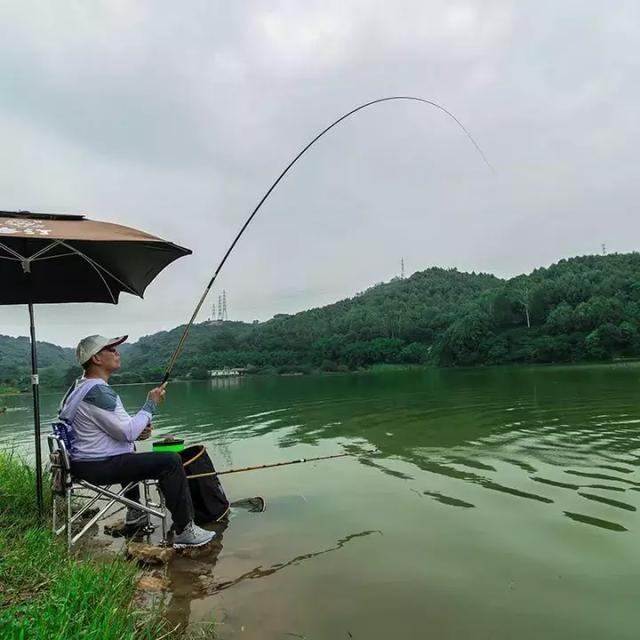 鱼竿m和h和l什么区别新手怎么选,鱼竿h和t哪个好