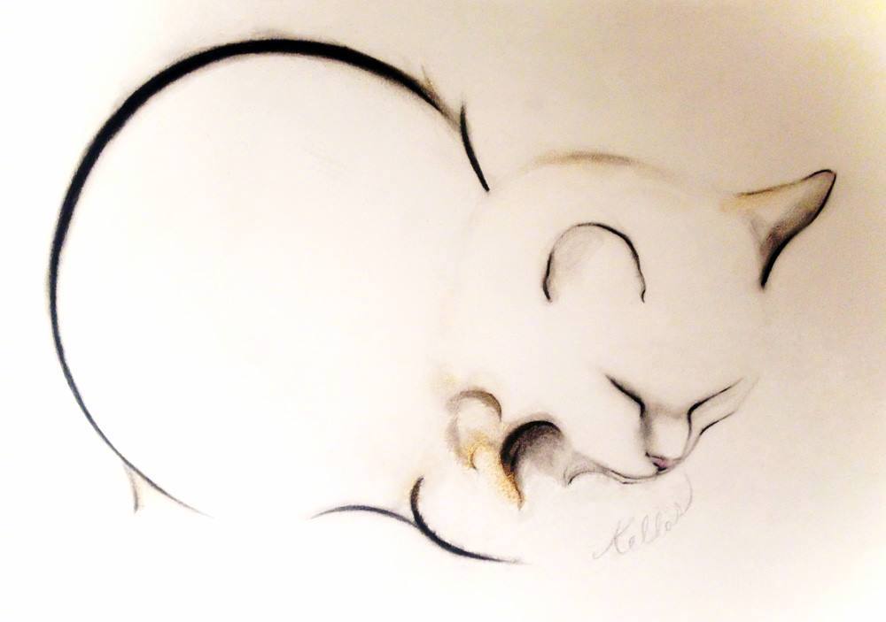 美式复古插画猫,插画猫咪线条