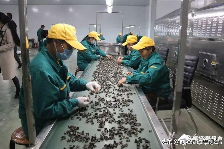 2018商洛市重大项目观摩排名出炉,2018年商洛市重大项目