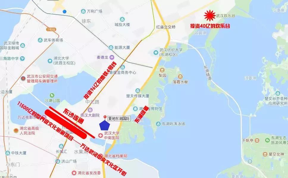 复地东湖国际值得投资吗,复地东湖国际为什么突然涨起来