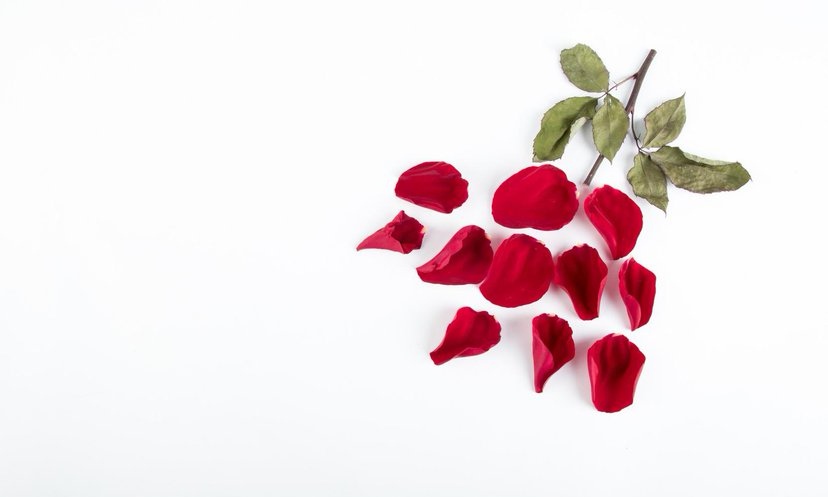 离婚后男人一般过得怎么样,离婚后男人几种表现会回来找自己