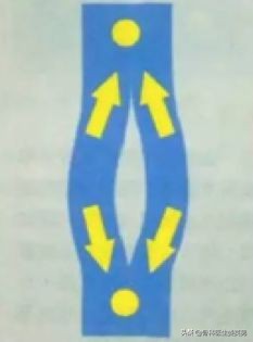 肌内贴测评,李宁国货引发争议