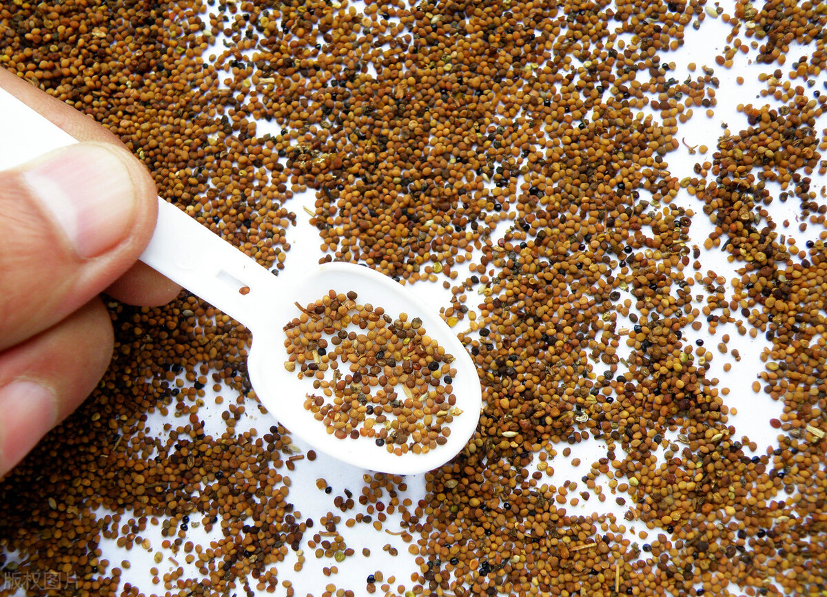 哪些中药可以调制面膜使皮肤变白,美白抗皱提拉紧致中药面膜