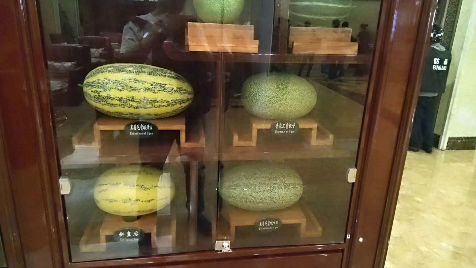 哈密市区是怎样的,哈密地区是哪