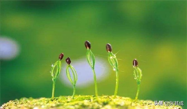 气是生命的源泉中医,气是人体生命的原动力