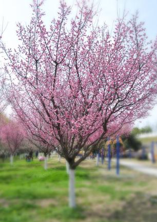 心理测试测你哪方面最出众神准,每日一测此刻时间超准心理测试