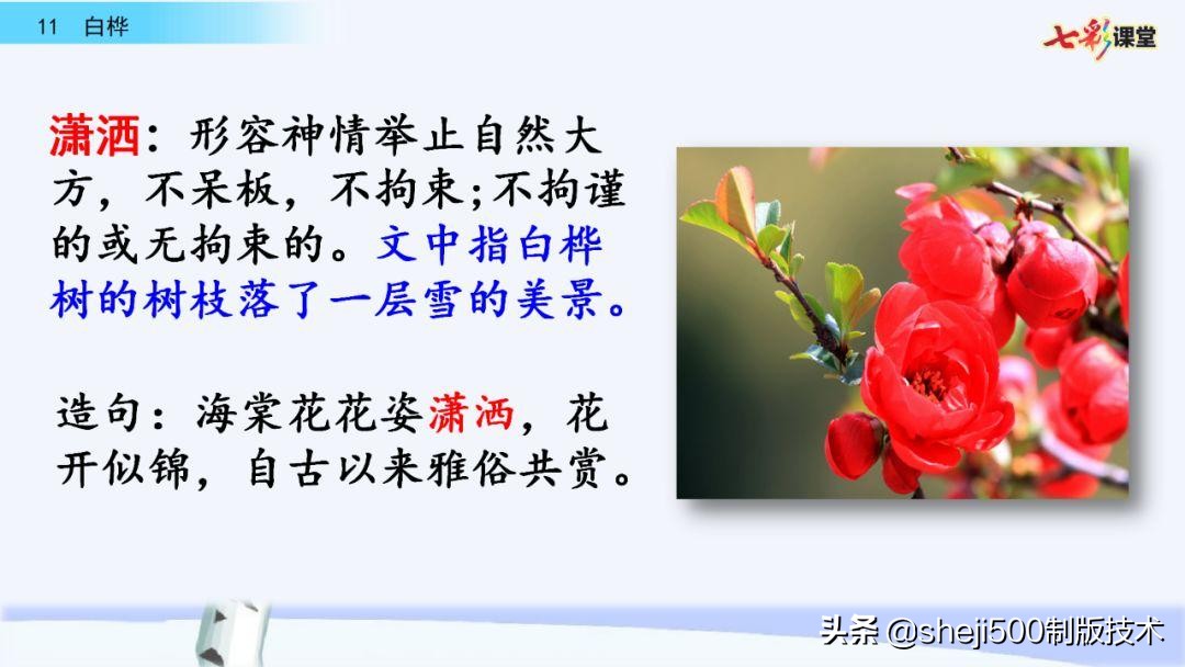 语文教科书四年级下册11课白桦,四年级语文书下册白桦讲解及预习