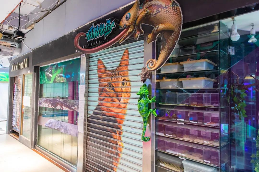 七八年没逛一个地方,江门地王广场动漫星城