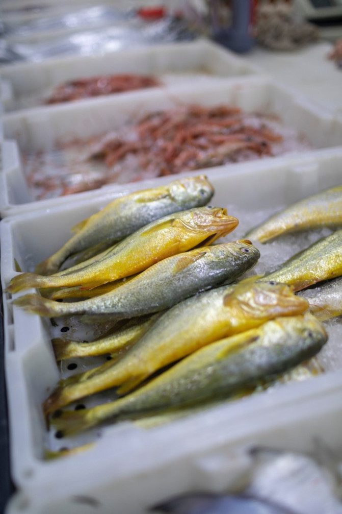 离岛微城慢生活,离岛微城慢生活嵊泗列岛