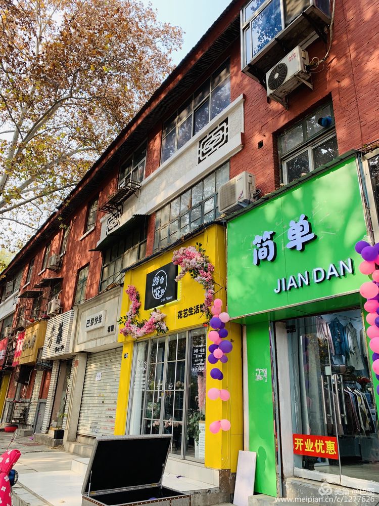 涧西牡丹广场老照片,洛阳牡丹手机拍照