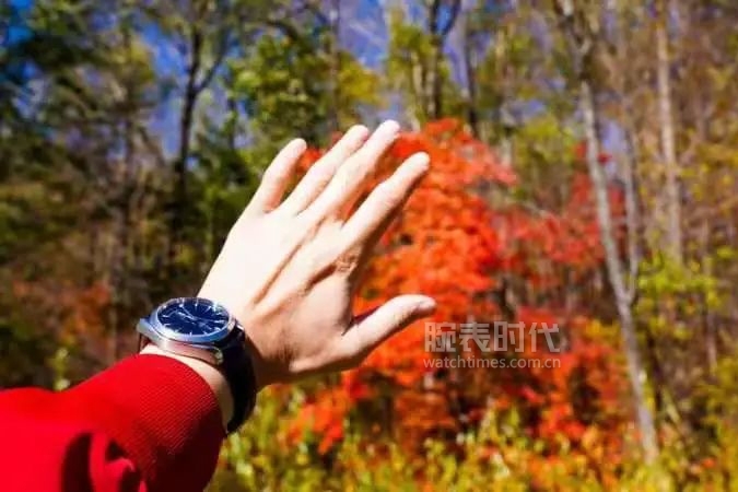 网友晒自己微信好友数量,网友晒1300手表