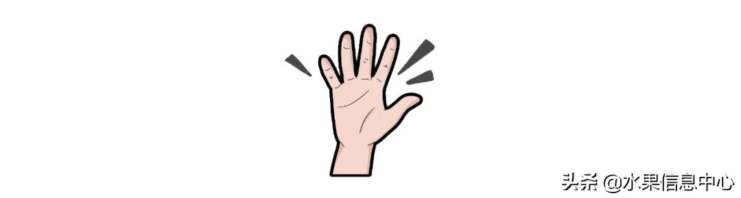 揭秘各种水果批发的价格,批发市场卖水果的技巧