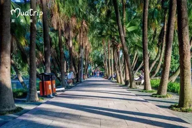 广州地铁旅游打卡攻略,广州适合春游的免费景点