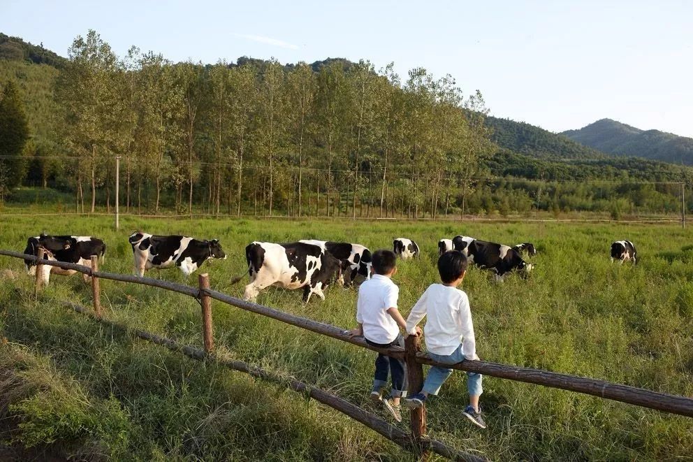 一个有机农场的商业探索