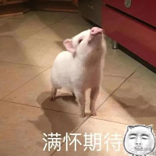 别舔屏非洲“刘亦菲”了！非洲“黑尾酱”爆红，颜值打破吉尼斯