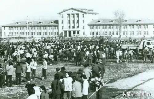 上榜啦！*疆新**鸟市和石市即将被国家命名！未来发展不可估量