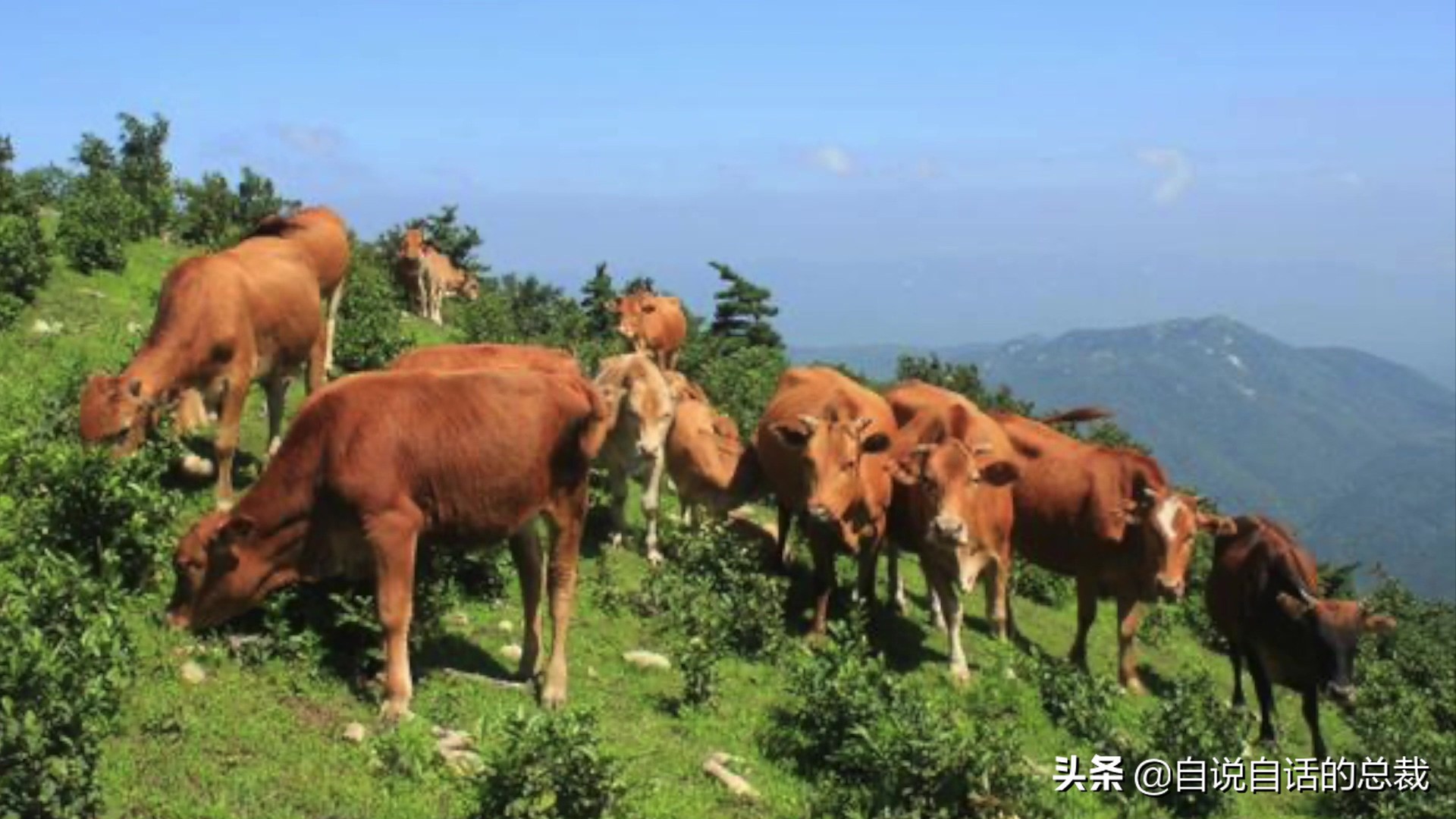 阿努纳奇创造人类7次文明,阿努纳奇人类起源