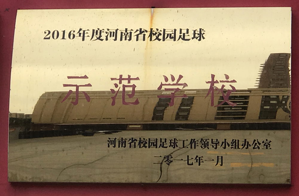 驻马店第二实验小学校长杯足球赛,2023市长杯新乡女子足球小学