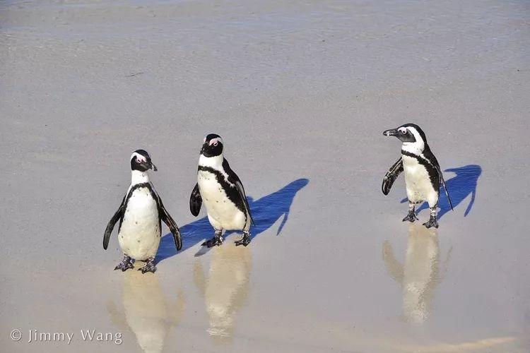 汇率起起伏伏，自然旅行跟着这张表格走，最划算