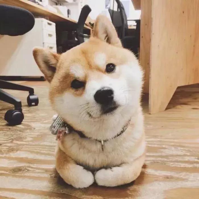 beatssolo3wireless音质测评,beatssolo3wireless体验