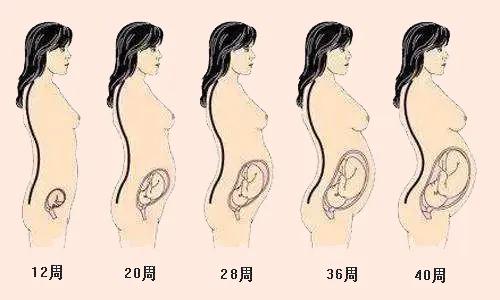 哺乳妈妈才知道的痛,带你了解分娩阵痛