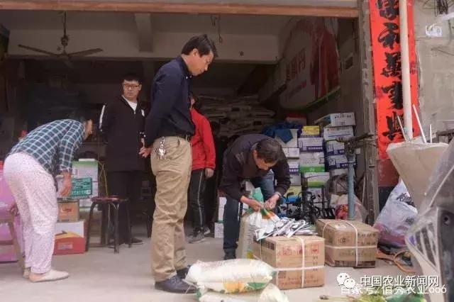 未来5年最吃香的种植业,种植业种植什么前景好