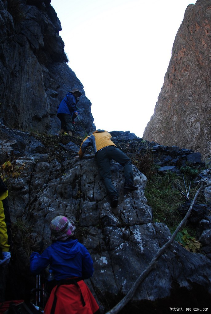 狼c调简谱教唱,狼c