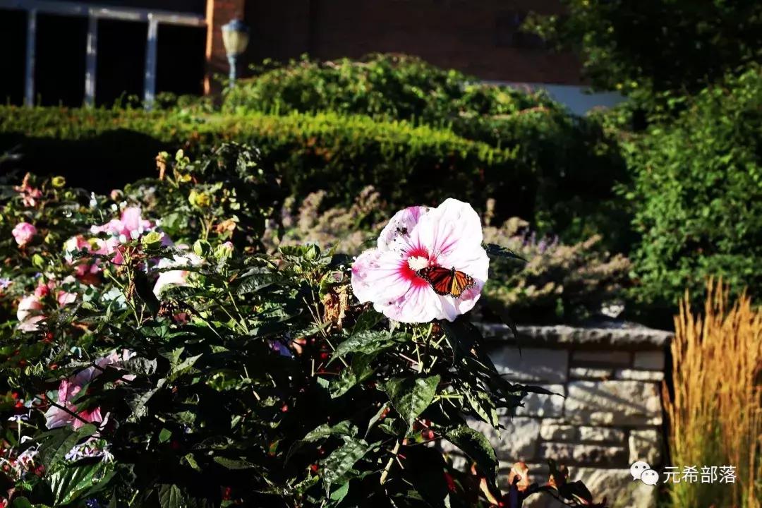 芝加哥及周边的好去处,芝加哥周边游玩