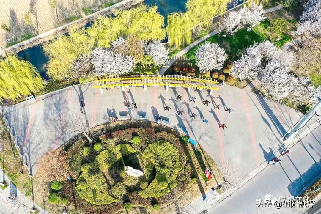 射阳是一个有爱的城市吗,射阳一座美丽的城