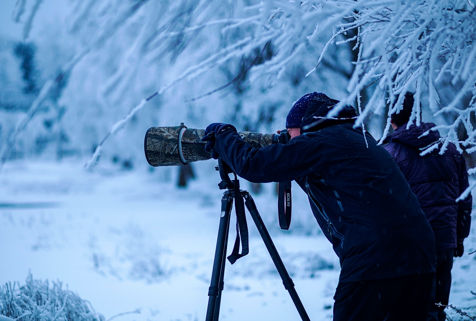 如何用eosr5拍摄视频,eosr5摄影