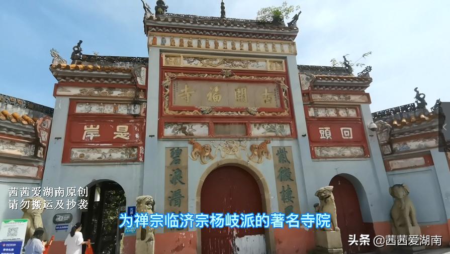 湖南长沙古寺开福寺,开福寺千年古树