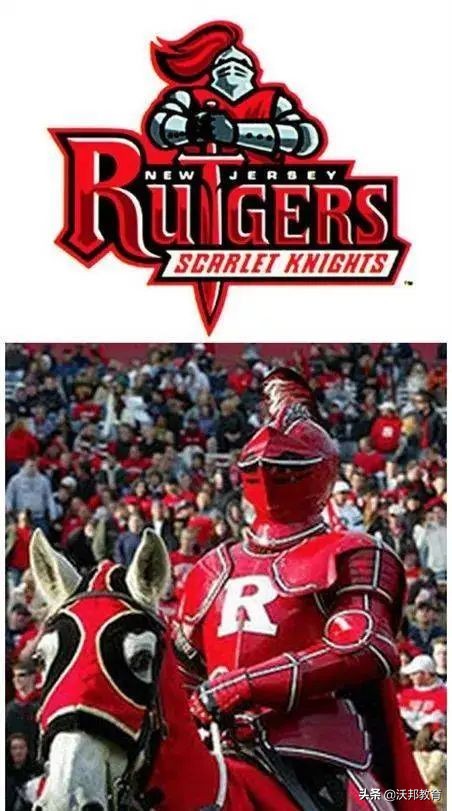 美国大学奇葩吉祥物,美国大学可爱吉祥物