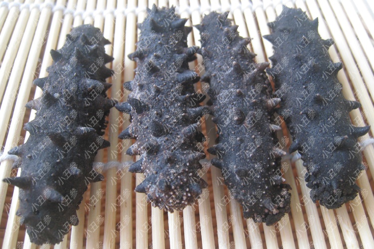 一斤50头干海参价格,干海参一斤泡发成几斤