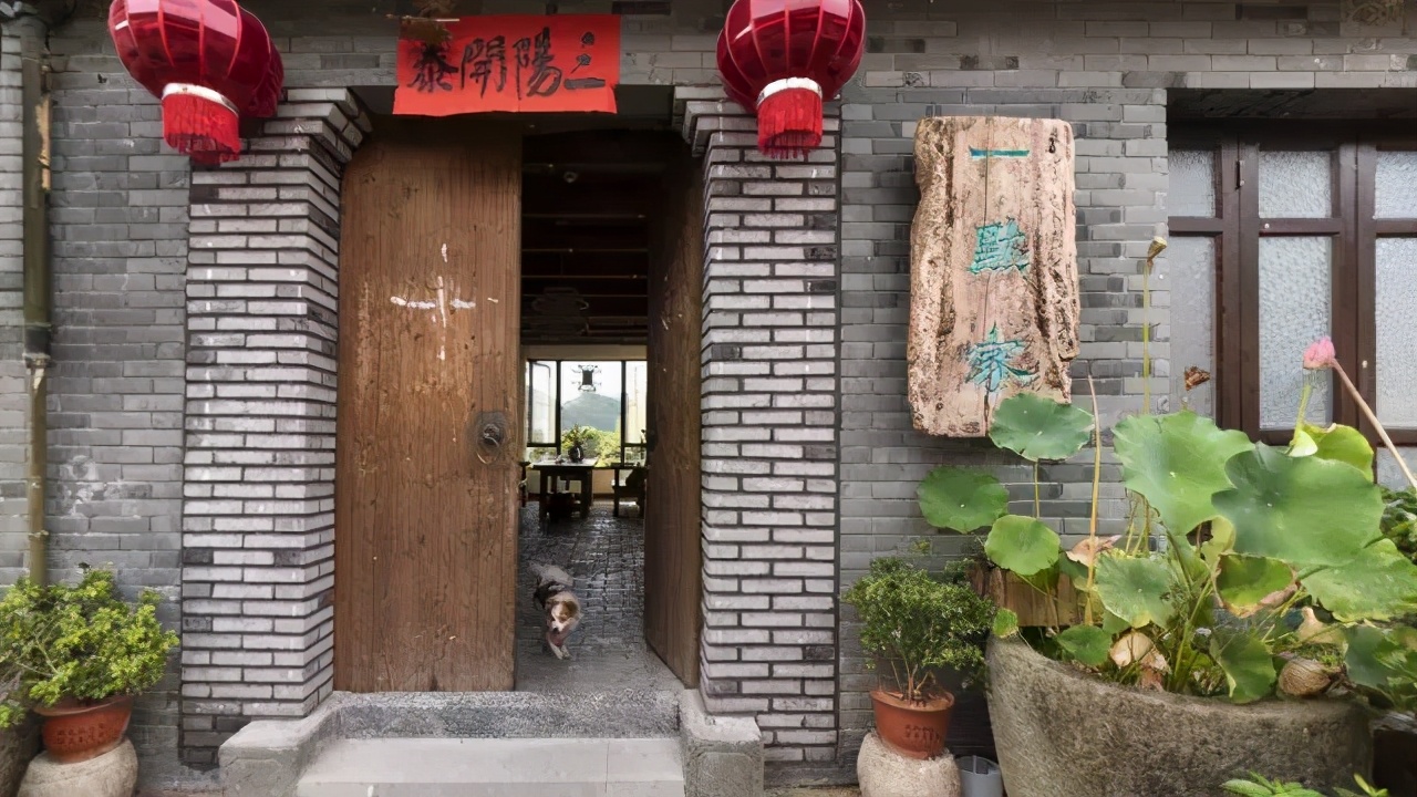 丽水上热搜,浙江丽水现萤火虫星海