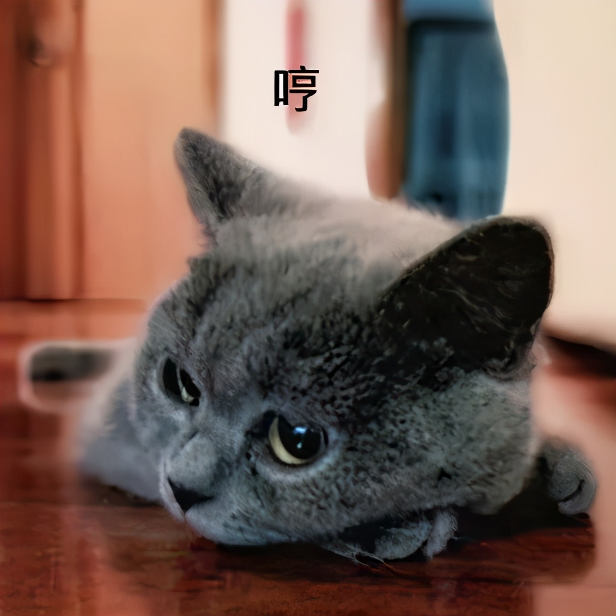 美容店拍顾客视频可以告吗,去做美容被坑了要怎样投诉