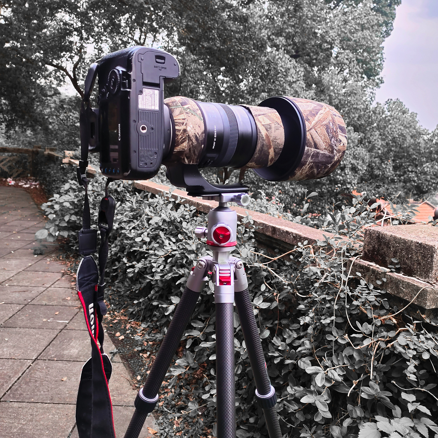 出门拍照装备,佳鑫悦三脚架黑色圈有什么用