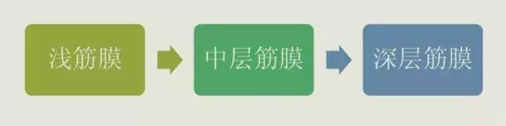 跑步放松肌肉方法筋膜枪,找到你科技是什么软件