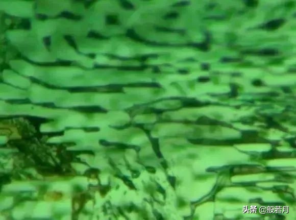 俄罗斯祖母绿是骗人的吗,俄罗斯祖母绿价格