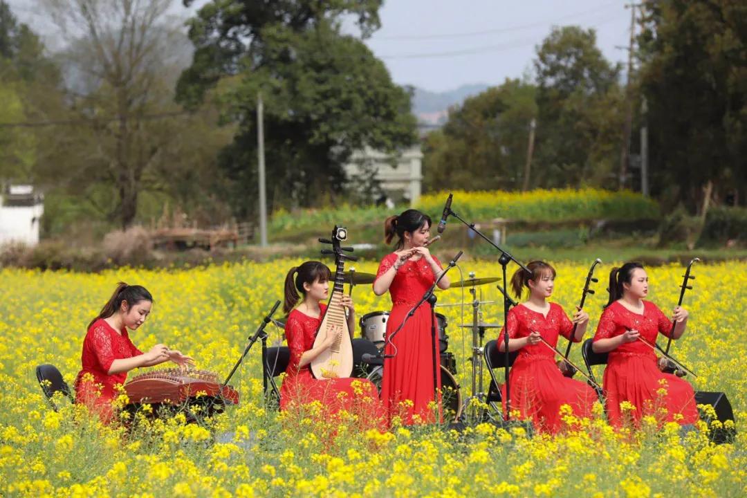 婺源油菜花节,2023婺源油菜花节