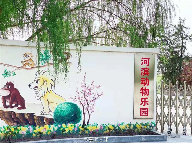 滨海生态城动物园,塘沽5块钱动物园