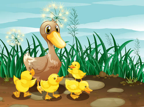 一年级描写小鸭子的作文,小学生作文可爱的小鸭