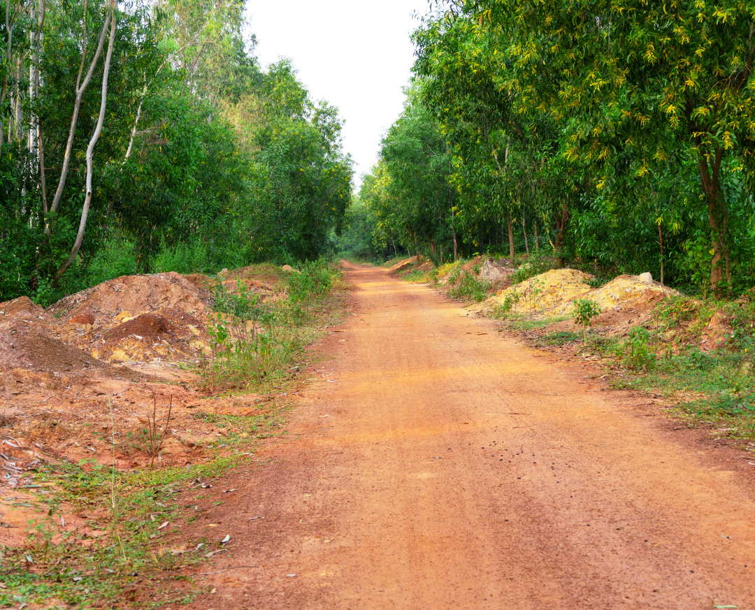 印度公路的成就,印度公路那么差劲吗