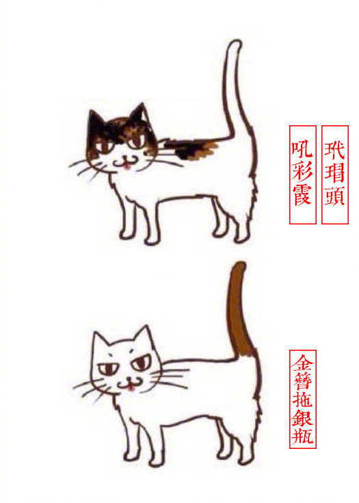 黄狸花猫咪名字,猫咪老师的花名有哪些